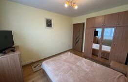 Apartament 2 camere, 52 mp, Podu Roș