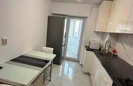 Apartament 1 cameră, 46 mp, zona Nicolina 1