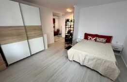 Apartament 1 cameră, 46 mp, zona Nicolina 1