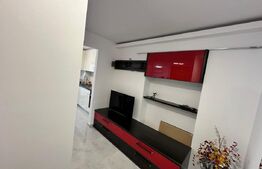 Apartament 1 cameră, 46 mp, zona Nicolina 1