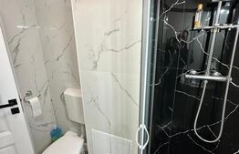 Apartament 1 cameră, 46 mp, zona Nicolina 1