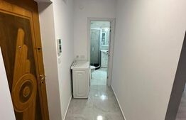 Apartament 1 cameră, 46 mp, zona Nicolina 1