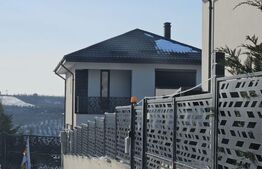 Vila de lux 4 camere in zona Visan