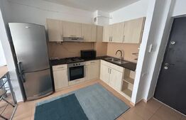 Apartament 2 camere, 48.15 mp, zona Tatarasi