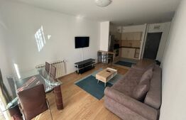 Apartament 2 camere, 48.15 mp, zona Tatarasi