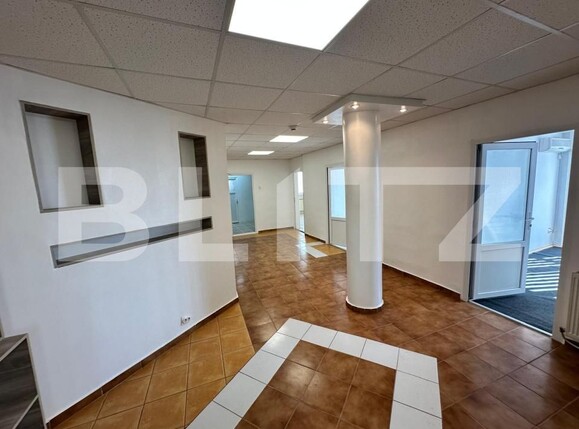 Spațiu birouri de închiriat Tudor Vladimirescu - 189670SIB | BLITZ Iași | Poza4