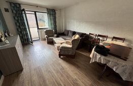 Apartament 2 camere, 54mp, Păun