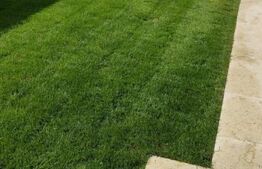 Vila de lux cu 4 camere