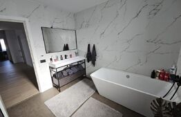 Vila de lux cu 4 camere in Cornesti