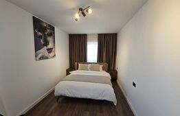 Vila de lux cu 4 camere in Cornesti