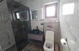 Vila de lux cu 4 camere in Cornesti