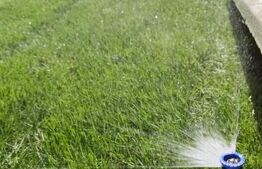 Vila de lux cu 4 camere in Cornesti