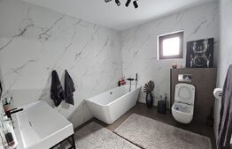 Vila de lux cu 4 camere in Cornesti