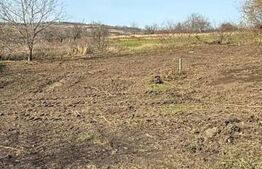 Teren 7700 mp Breazu, cu dubla deschidere