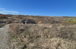 Teren 650 mp intravilan, locatie deosebita, Valea Lupului