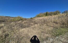 Teren 650 mp intravilan, locatie deosebita, Valea Lupului