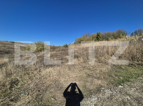 Teren de vânzare Valea Lupului - 189979TV | BLITZ Iași | Poza3