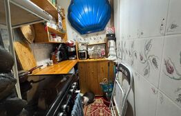 Camera de camin, 17 mp, zona Bularga