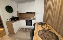 Studio de vanzare, 35 mp, zona Tudor Vladimirescu 