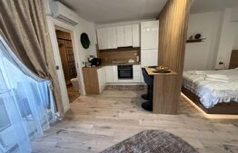 Studio de vanzare, 35 mp, zona Tudor Vladimirescu 