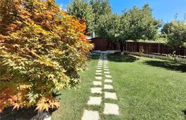 Casa 240 mp, teren 825 mp, zona Bucium 