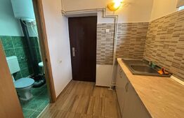 Camera de camin, 20 mp, zona Dacia