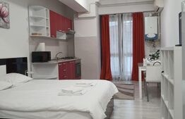Garsoniera de vanzare, 33 mp, zona Central - Lazar Residence
