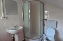 Casă de închiriat, 100 mp, zonă Copou