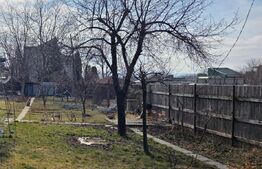 Casă de închiriat, 100 mp, zonă Copou