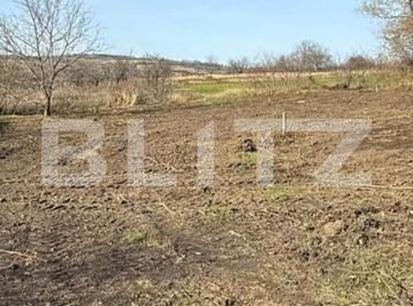 Teren de vânzare Breazu - 190787TV | BLITZ Iași | Poza1