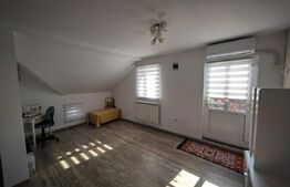 Casă 5 camere în Lețcani – acces direct la drumul european