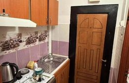Cameră de cămin, 17 mp, zona Bularga