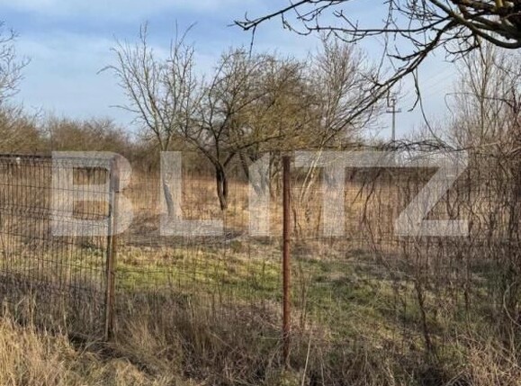 Casa de vânzare 3 camere Schitu Duca - 190996CV | BLITZ Iași | Poza3