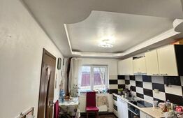 Vilă spațioasă P+1 de vânzare în Lunca Cetățuii – 190 mp utili, teren 680 mp