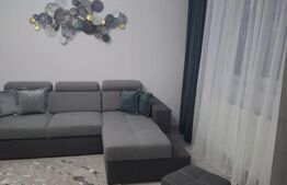 Apartament 2 camere, 40 mp, Alexandru cel Bun (P-ta Voievozilor)