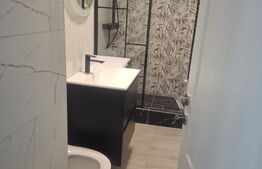 Apartament 2 camere, 40 mp, Alexandru cel Bun (P-ta Voievozilor)