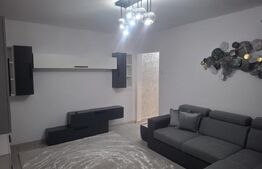 Apartament 2 camere, 40 mp, Alexandru cel Bun (P-ta Voievozilor)
