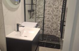 Apartament 2 camere, 40 mp, Alexandru cel Bun (P-ta Voievozilor)