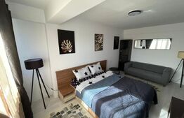Apartament de închiriat, 42 mp, zona Vișani