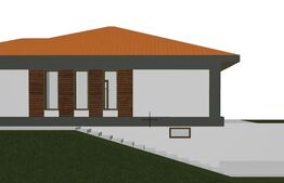 Casa parter, 115 mp, zona Tomești 