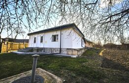 Casă de vânzare, 55 mp, zona Erbiceni 