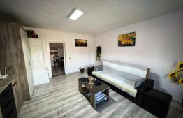 Casă de vânzare, 55 mp, zona Erbiceni 