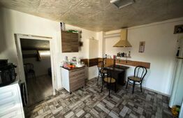 Casă de vânzare, 55 mp, zona Erbiceni 