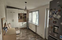 Apartament 2 camere, 50 mp, zona Alexandru cel Bun