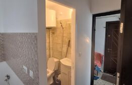 Camera de camin, 12 mp, zona Alexandru cel Bun 