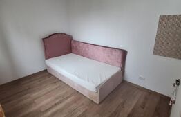 Camera de camin, 12 mp, zona Alexandru cel Bun 