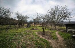 Casa Comarna cu 3500 mp teren la asfalt