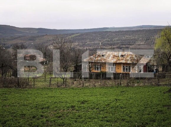 Casa de vânzare 2 camere Comarna - 191827CV | BLITZ Iași | Poza2