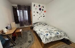 Garsonieră | 23 mp | Etaj 1/4 | zona Alexandru