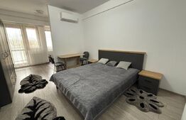 Apartament 1 cameră tip studio, 40 mp, zona Palas 